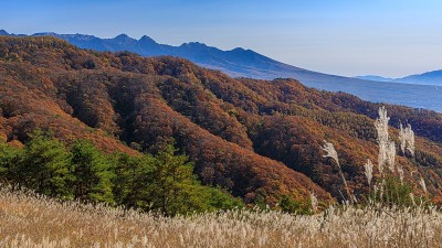 日本长野县久宫山高地的秋色