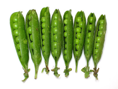 豌豆在豆荚