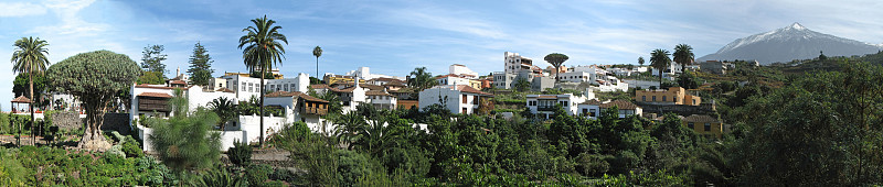 Icod de los Vinos全景(特内里费，加那利群岛)