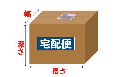 纸板