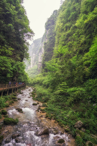 张家界大峡谷溪景