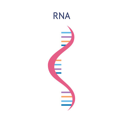 科学图标结构的RNA分子载体分离的背景。