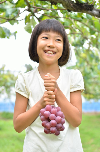 ぶどう狩りを楽しむ女の子