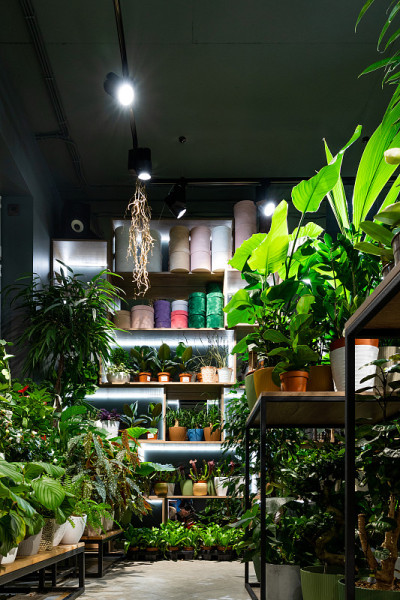 室内的花卉商店出售盆栽植物和花束在阁楼风格
