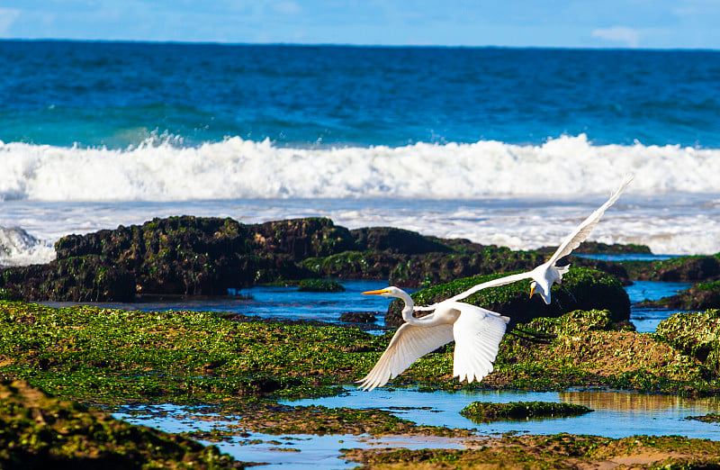 海滩在Lauro de Freitas Bahia