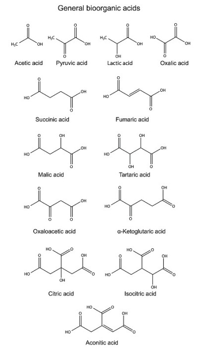 碱性生物有机酸的结构化学式