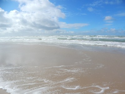 在丹麦北海海岸