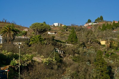 Puntagorda