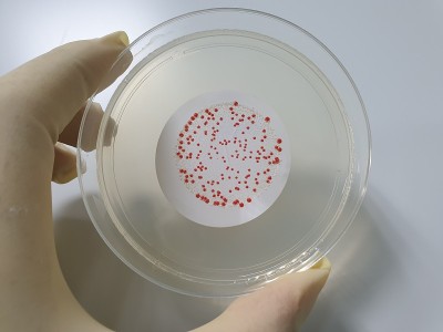 纯净水、注射用水微生物检测结果