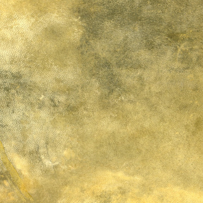 鼓膜的细节