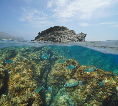 海景岩石岛鱼水下海