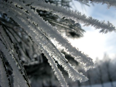 神奇的雪
