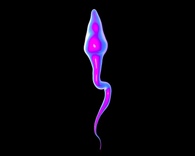 single sperm close up shot