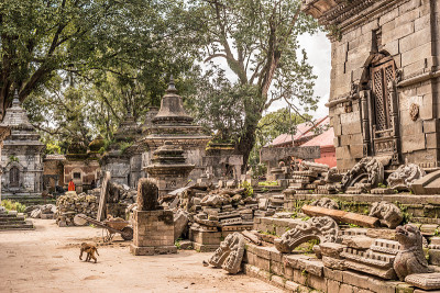 Pashupatinath神庙周围有白色的小寺庙。加德满都