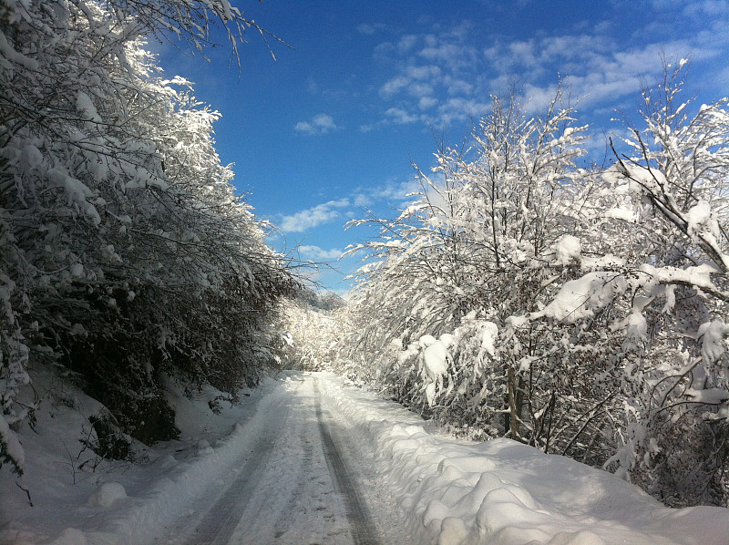 马其顿国家公园的积雪道路和严重的驾驶条件