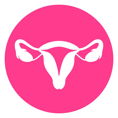 子宫矢量图标，女性健康标志