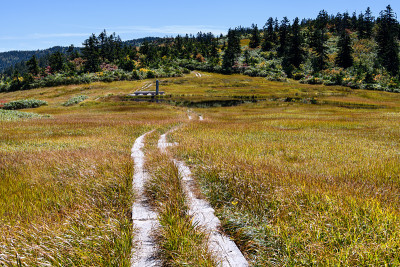 Chumondake山的沼泽和山路
