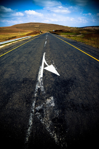 在公路旅行中