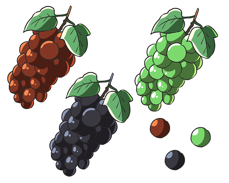 Grape with leaves