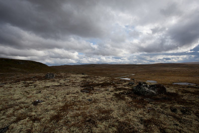 Hardangervidda
