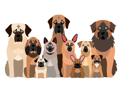 一大群黑色的口鼻犬