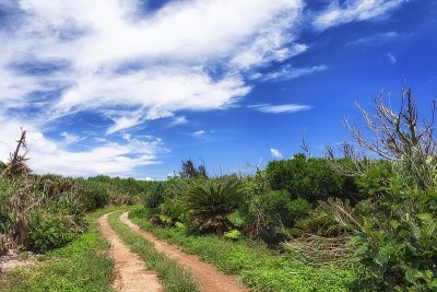 日本冲绳县的Hatoma岛夏日美景
