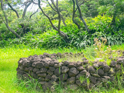 Orongo, the relevance of Easter Island.