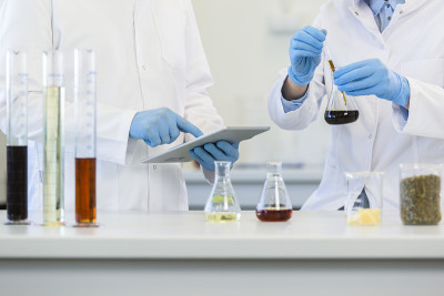 科学家的手在cbd实验室与药片一起工作