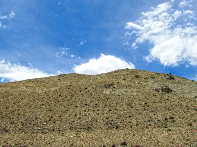 Sandhills