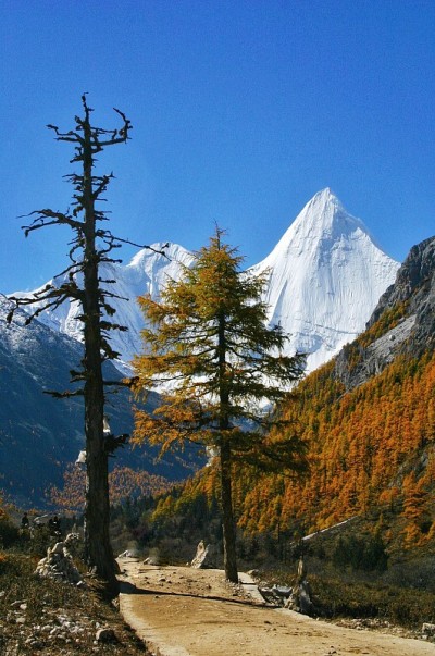 美丽的山景
