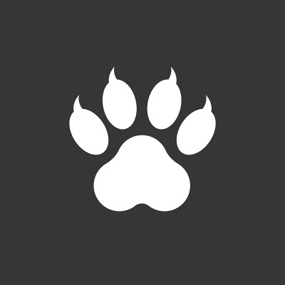 爪印图标矢量插图孤立在黑色背景。狗、猫、熊爪子象征扁平象形文字。