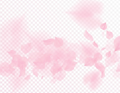 粉色樱花花瓣飘落矢量透明背景。3D浪漫情人节插画。春光温柔的背景。覆盖温柔浪漫的设计。