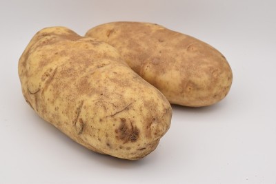 土豆在白