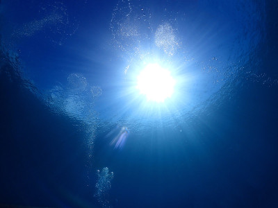 从冲绳的海底仰望海面