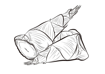 一套竹笋矢量插图
