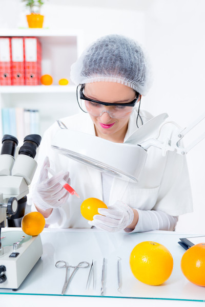 年轻的女科学家在实验室给柠檬注射转基因物质