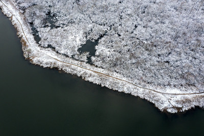 河岸上冰冻的树木。雪景与树木和河流。无人机鸟瞰图