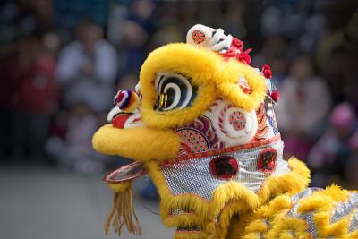 中国舞狮服装的特写