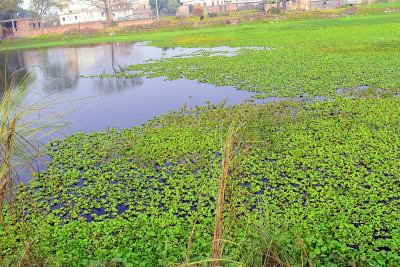 美丽的风景，池塘，湖泊和草地在印度