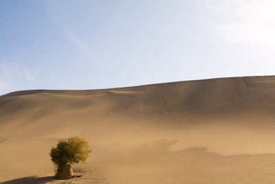 沙漠景观