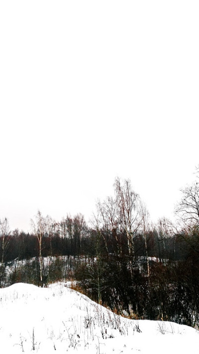 河流，森林，冬天不结冰的雪