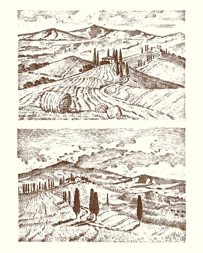 手工雕刻的旧素描和复古风格的标签。意大利托斯卡纳的田野背景和柏树。收获和干草堆。有葡萄园、村庄或乡村