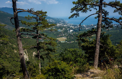 夏季山地景观