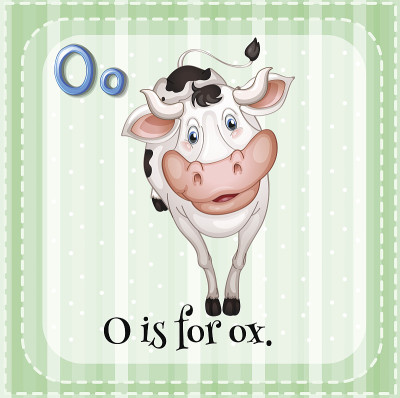 字母O