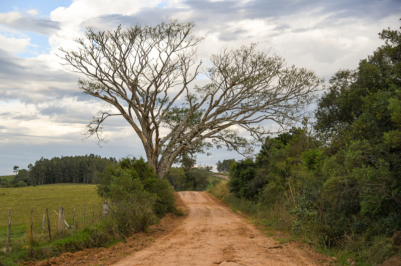 Rural landscapes. Agricultural production areas in