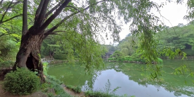 植物园在韩国