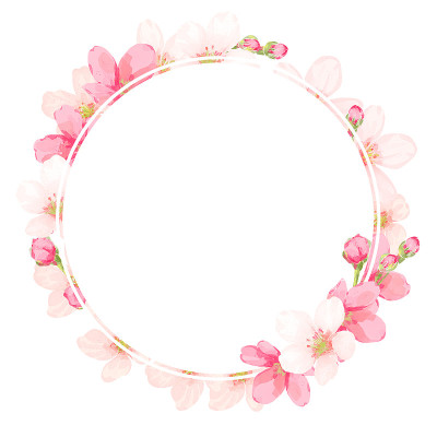 Cherry blossom frame vector
