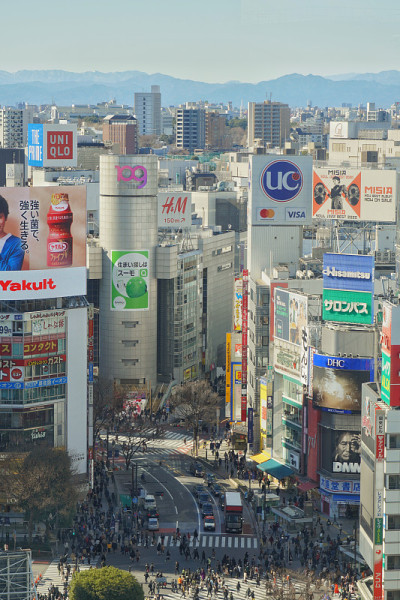 涩谷市
