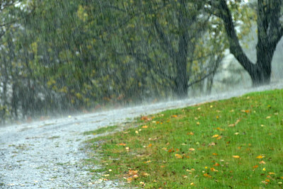 夏日的倾盆大雨(模糊的背景)