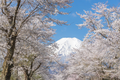 山富士